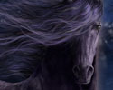 Black Thuhnder by CWRW