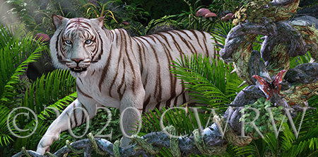 White Tiger Stalk